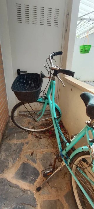Bicicleta Clásica vintage verde menta con Cesta