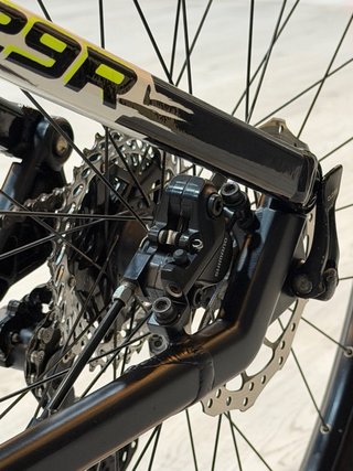 Focus Super Bud 29R personalizada