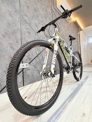 Focus Super Bud 29R personalizada