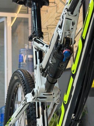 Focus Super Bud 29R personalizada