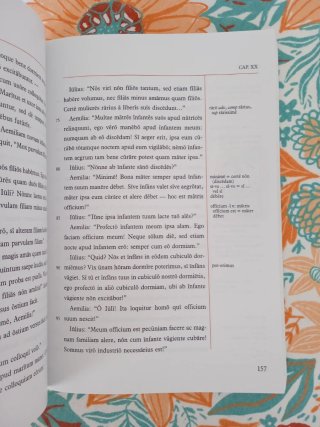 Lingua latina per se illustrata