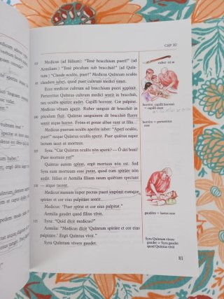 Lingua latina per se illustrata