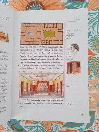 Lingua latina per se illustrata