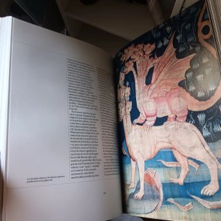 Libro Belleza e Identidad