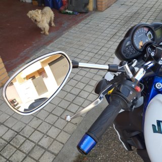 Retrovisores Suzuki Gladius