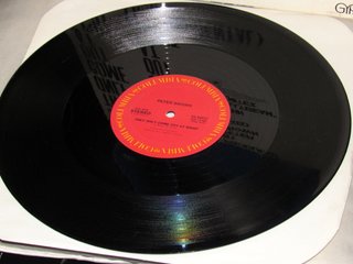 Disco 12" single 33 giri Peter Brown 1984