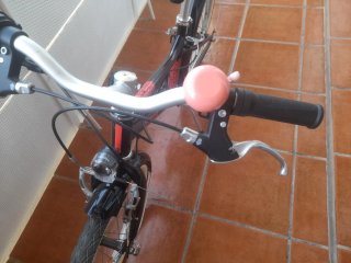 Bicicleta Infantil RIVERSIDE Negra