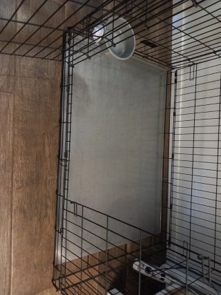 Jaula grande para perro