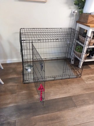 Jaula grande para perro