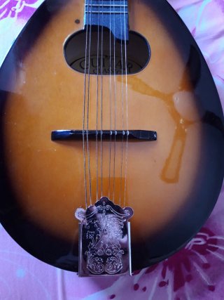 Mandolina acústica de 8 cuerdas+Funda (Como nueva)