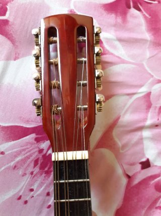 Mandolina acústica de 8 cuerdas+Funda (Como nueva)