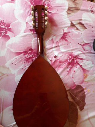 Mandolina acústica de 8 cuerdas+Funda (Como nueva)
