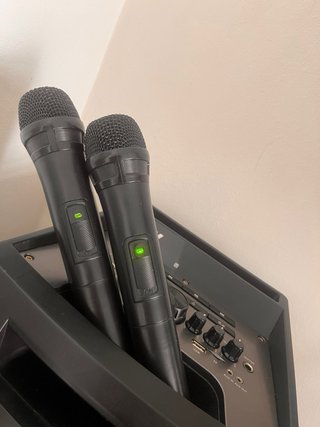 Altavoz Woxter Negro (MANDO + MICROFONOS)