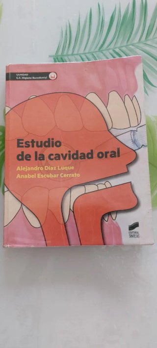 Estudio de la cavidad oral Alejandro Díaz Luque...