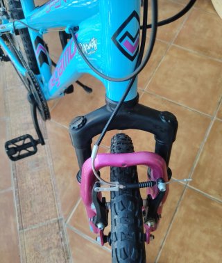 Bicicleta MEGAMO Serie 6021 Azul