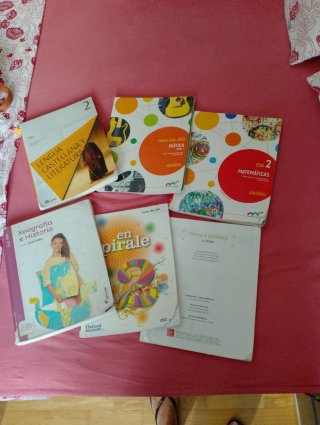 Lote libros 2 eso