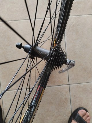 Rueda Trasera GURPIL 26