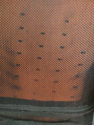 Chaqueta Moto Verano, L Protecciones y espaldera