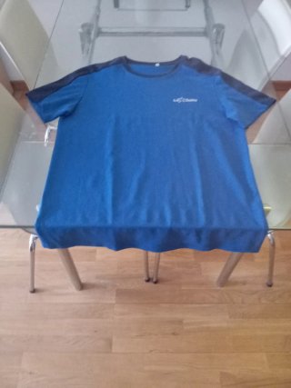 Camiseta escolar La Salle Azul Talla L