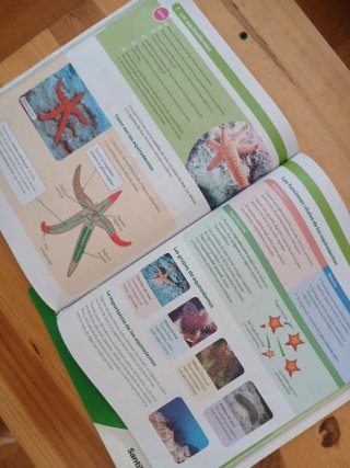 BIOLOGIA Y GEOLOGIA C-Leon 1ESO CONSTRUYENDO MU...