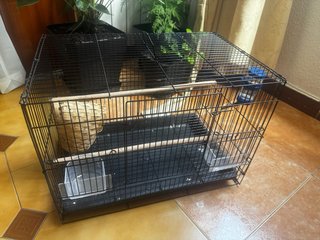 Jaula para pájaros negra y transparente