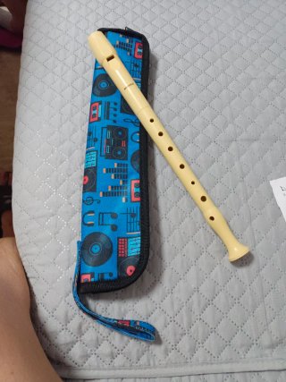 Flauta Hohner con funda y accesorio