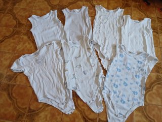 Set 7 body