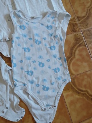 Set 7 body