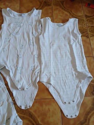 Set 7 body