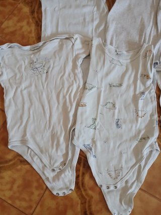 Set 7 body