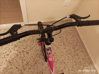 Bicicleta Infantil 20 DENBIKE