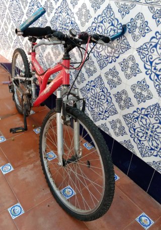 Bicicleta de Montaña Roja
