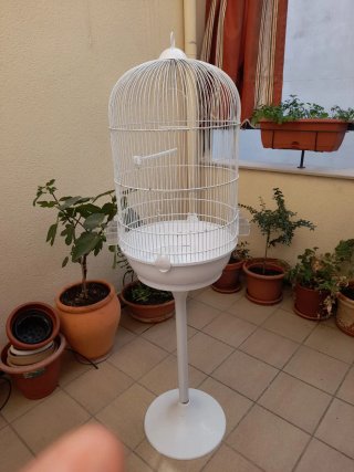 Jaula para pájaros con pie
