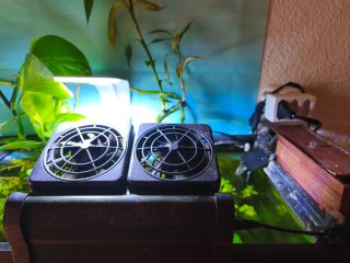 Acuario 100L completo