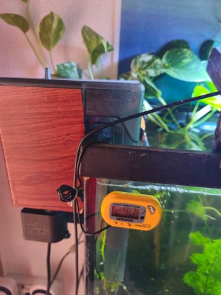Acuario 100L completo