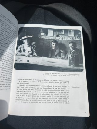 Libro antiguo Picasso