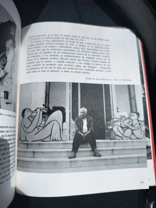 Libro antiguo Picasso