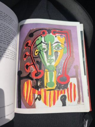 Libro antiguo Picasso