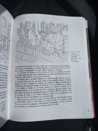 Libro antiguo Picasso