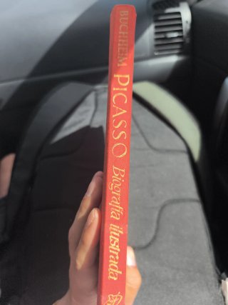 Libro antiguo Picasso