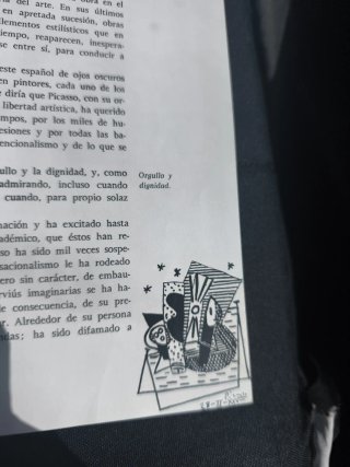 Libro antiguo Picasso