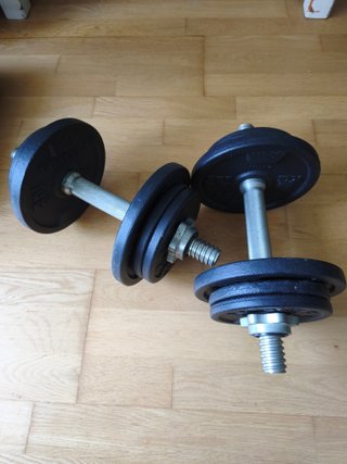 2 Barras Mancuernas 35cm + Discos Pesas