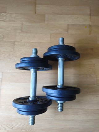 2 Barras Mancuernas 35cm + Discos Pesas
