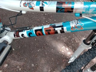 Bicicleta Scott Contessa Junior 24