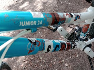 Bicicleta Scott Contessa Junior 24