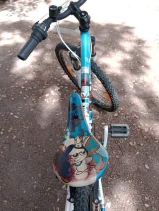 Bicicleta Scott Contessa Junior 24