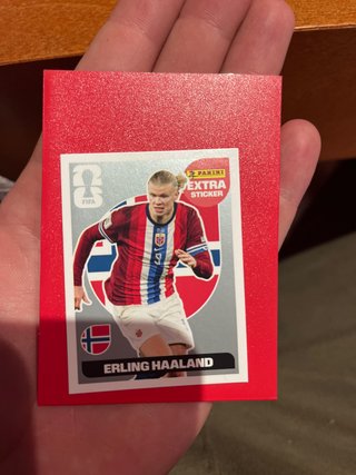 Cromos Erling Haaland Panini Extra Plata