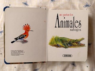 Libro infantil Animales Salvajes – Servilibro