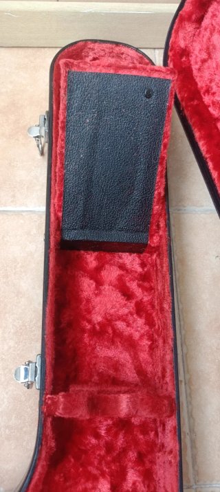 Estuche Aria Pro II MIJ RS-X70