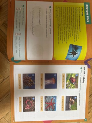 NATURAL SCIENCE 3 PEIMARIA ACTIVITY Y  VISUAL BOOK
